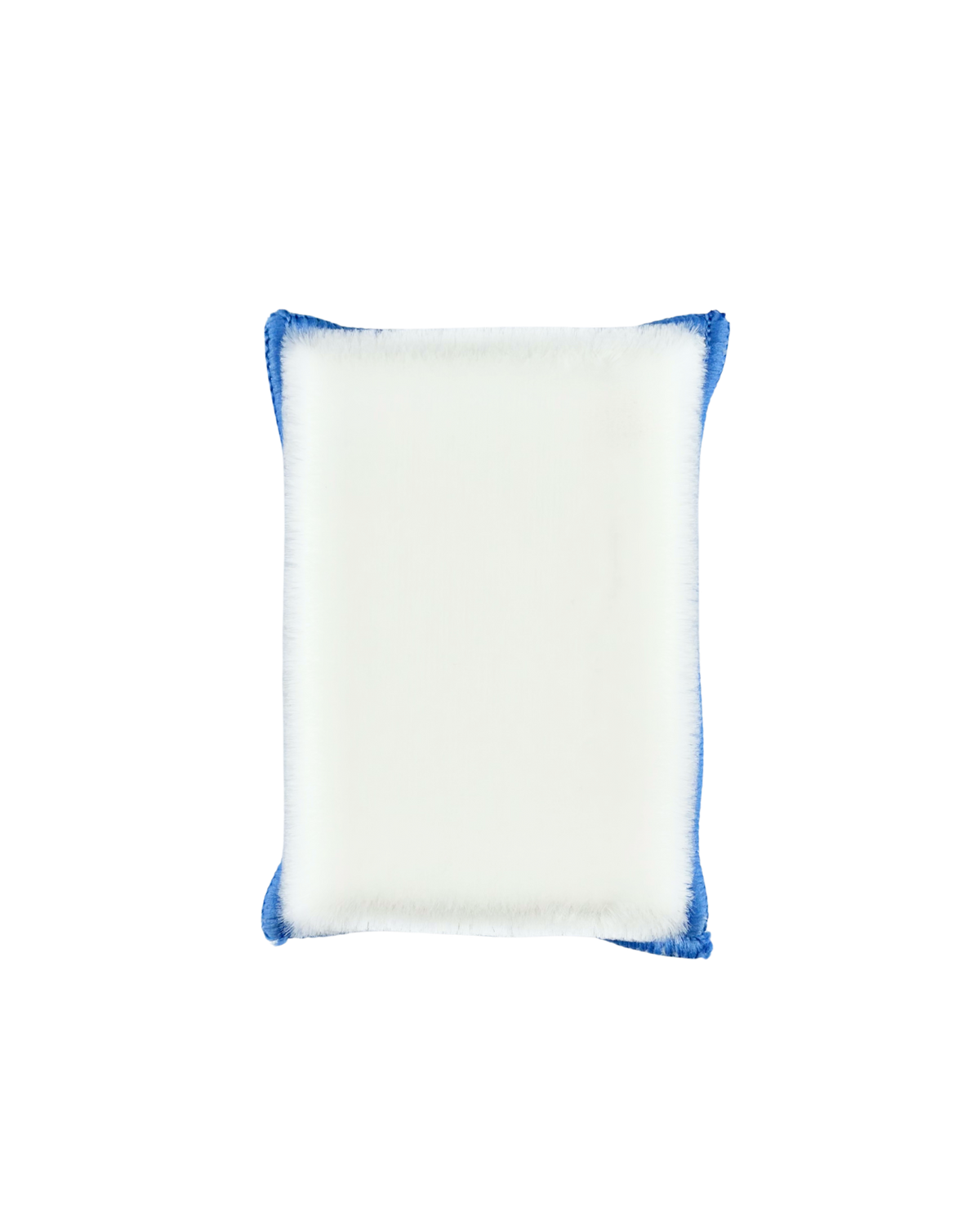 Scrub Pad Prestige pentru Curățarea Pielii, Plasticului și Materialelor Textile